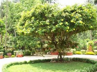 Garden Villa Home Stay - Photo5