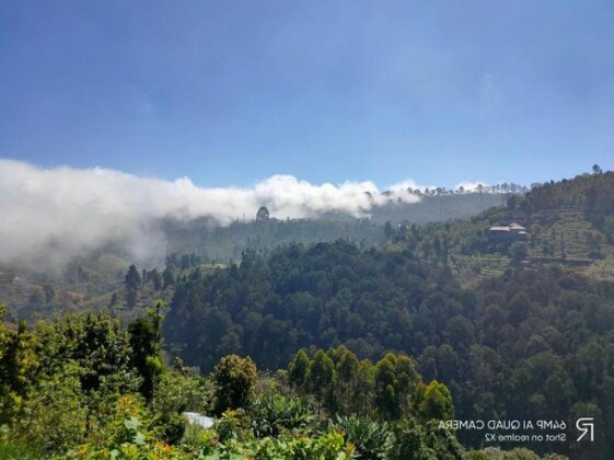 Pine tree view Stay - Photo3