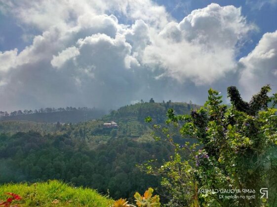Pine tree view Stay - Photo4