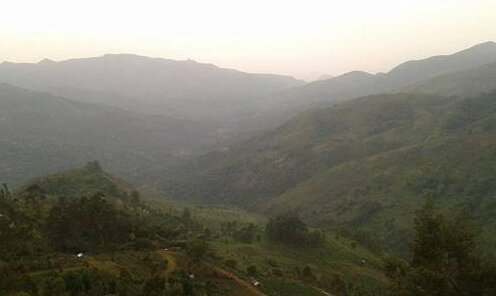 Syamantac Homestay - Photo5