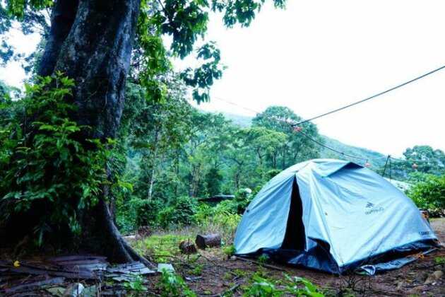 Nelliyampathy Resort & Tent Camp - Photo2