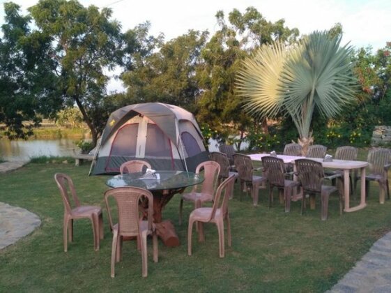 Vamoose Hampi Homestay - Photo5