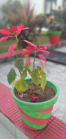 Om Shanti guest house Kota - Photo4