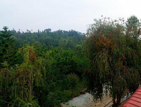 Pear Tree Inn Kotagiri - Photo3