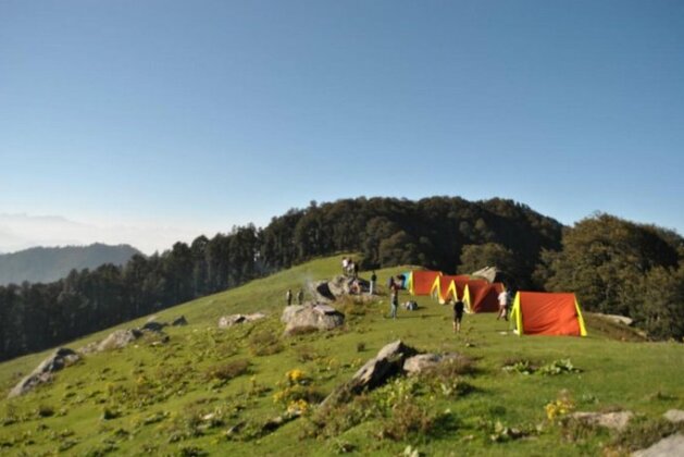 Camp Himalayan Yew - Photo4