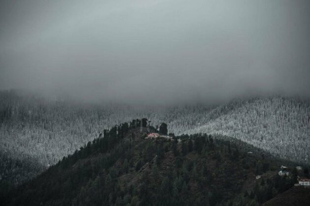 Doc Hardy's Cottage by Vista Rooms