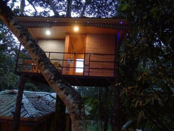 Green gardeen cottage - Photo2