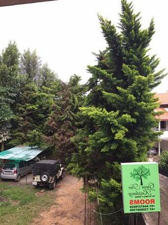 Green Tree Residency - Photo3