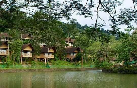 Kofiland Resort - Photo3