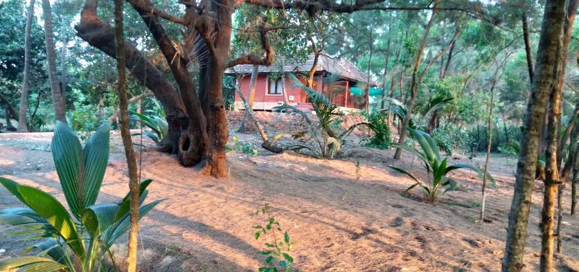 OmBodhi Retreat - Photo3