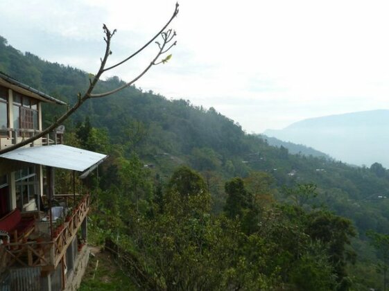 Birdsong Home - Photo3