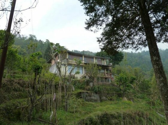Birdsong Home - Photo4
