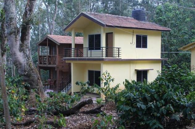 Eco Green Homes - Photo2