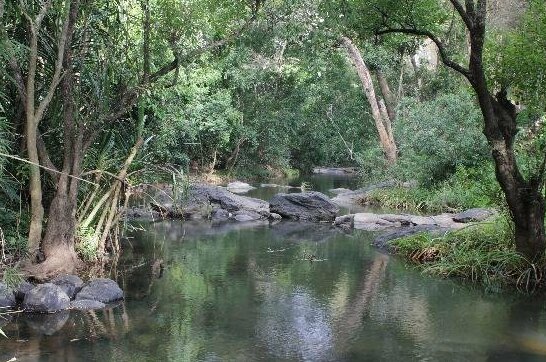 ROOMSDON Coorg Misty Garden - Photo5