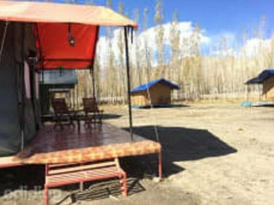Camp Town Ling - Photo2