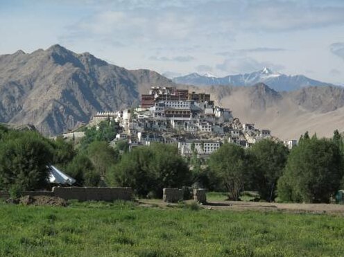 Chamba Camp Thiksey - Photo4