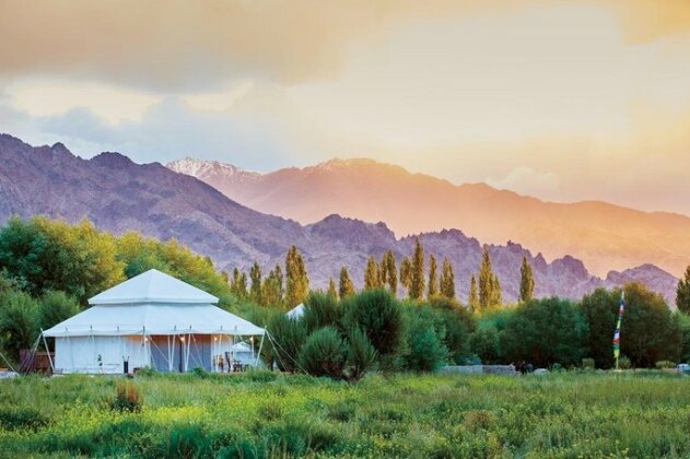 Chamba Camp Thiksey - Photo5