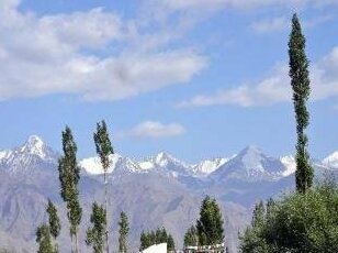 Dorje Guesthouse - Photo4