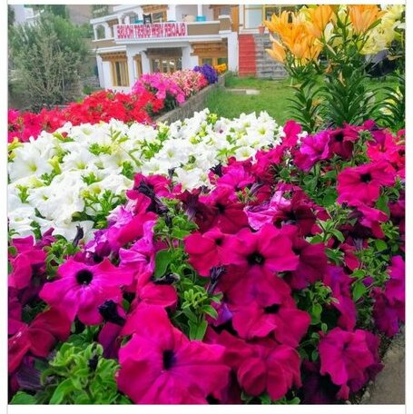 Glacier View Guest House - Photo2