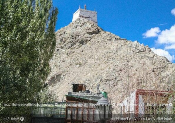 Hills View Hotel - Photo3