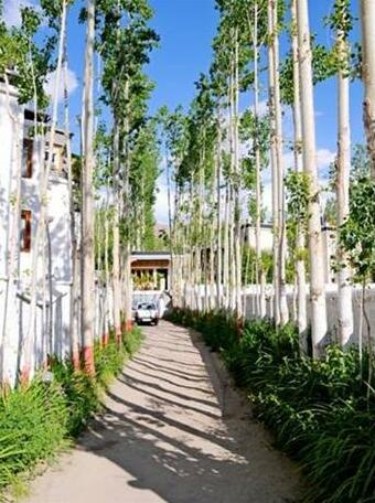 Hotel Ladakh Greens - Photo3