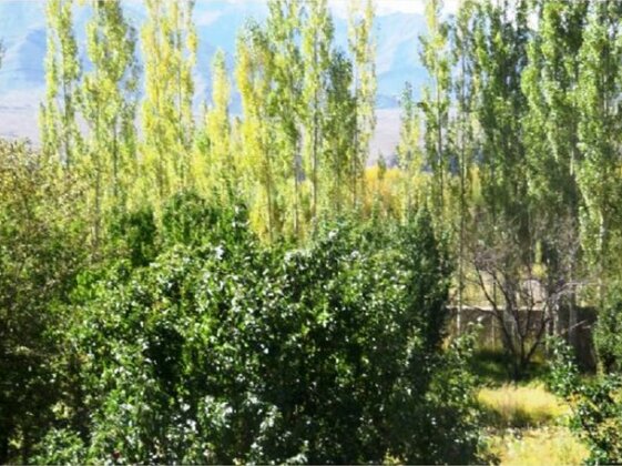 Indus View Home Stay - Photo3