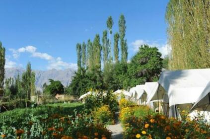 Mystique Meadows Camp