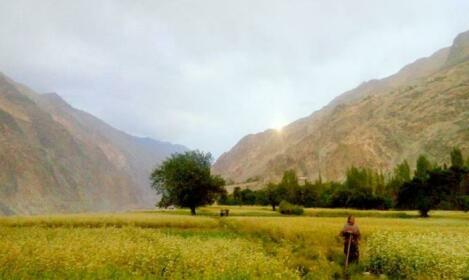 Nubra Leisure Camp