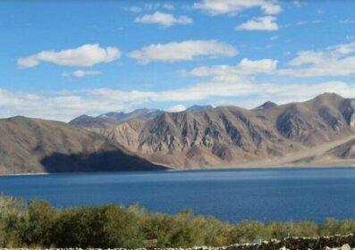 Pangong Paradise