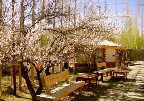 Poplar Eco Resort - Photo2