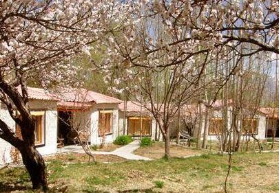 Poplar Eco Resort - Photo3