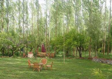 Poplar Eco Resort - Photo5