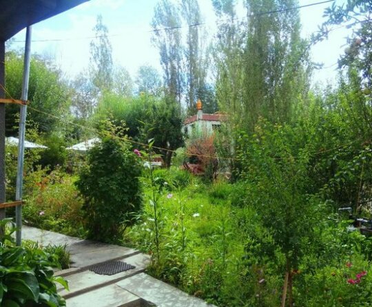 Saiman Guest House - Photo2