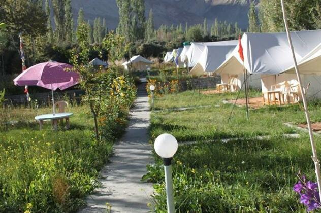 Saser Camp - Photo3