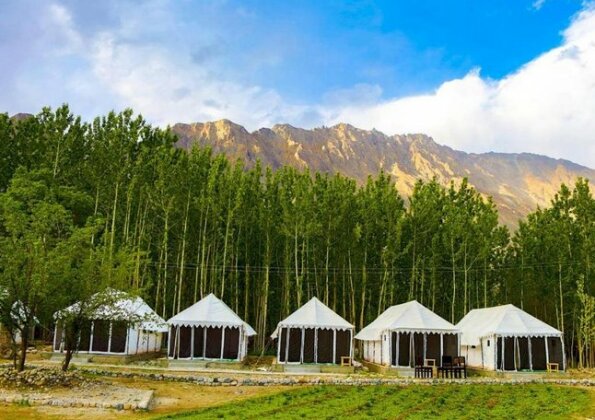 Terrain Ladakh Camping - Photo2