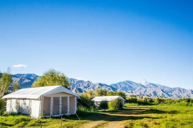 The Indus River Camp - Photo4