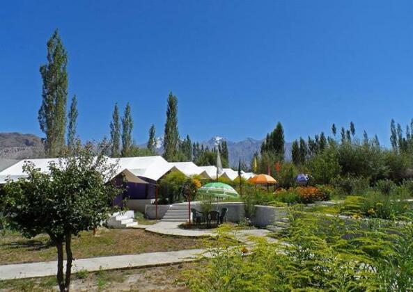 Tiger Camp Nubra
