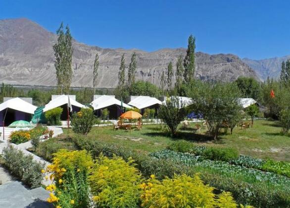 Tiger Camp Nubra - Photo3