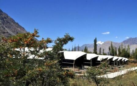 TIH Cold Desert Camp