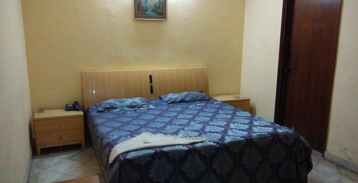 Hotel Bagga Palace - Photo2