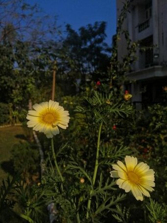 Kayenaat - Photo4