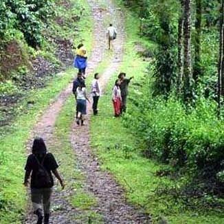 Coorg Planter's Camp - Photo2