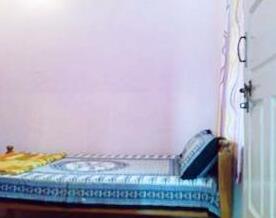 Cats Stay - Photo5