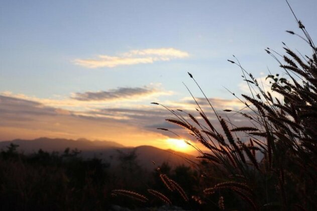 North Breeze - Photo2