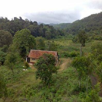 Paddy View Madikeri - Photo2