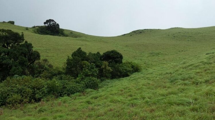Paithal Mount Cottage - Photo3