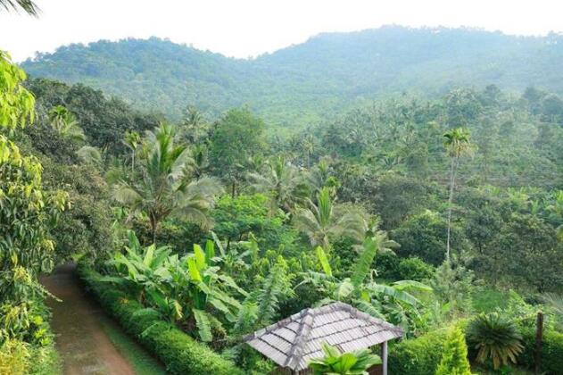 Paithal Valley Homestay - Photo3