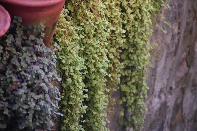 Srishti Homestay - Photo3