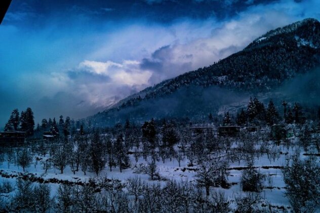 Alt Life - Manali - Photo5