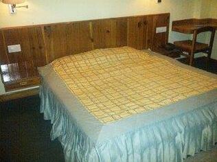 Hotel Comfort Inn Manali - Photo3